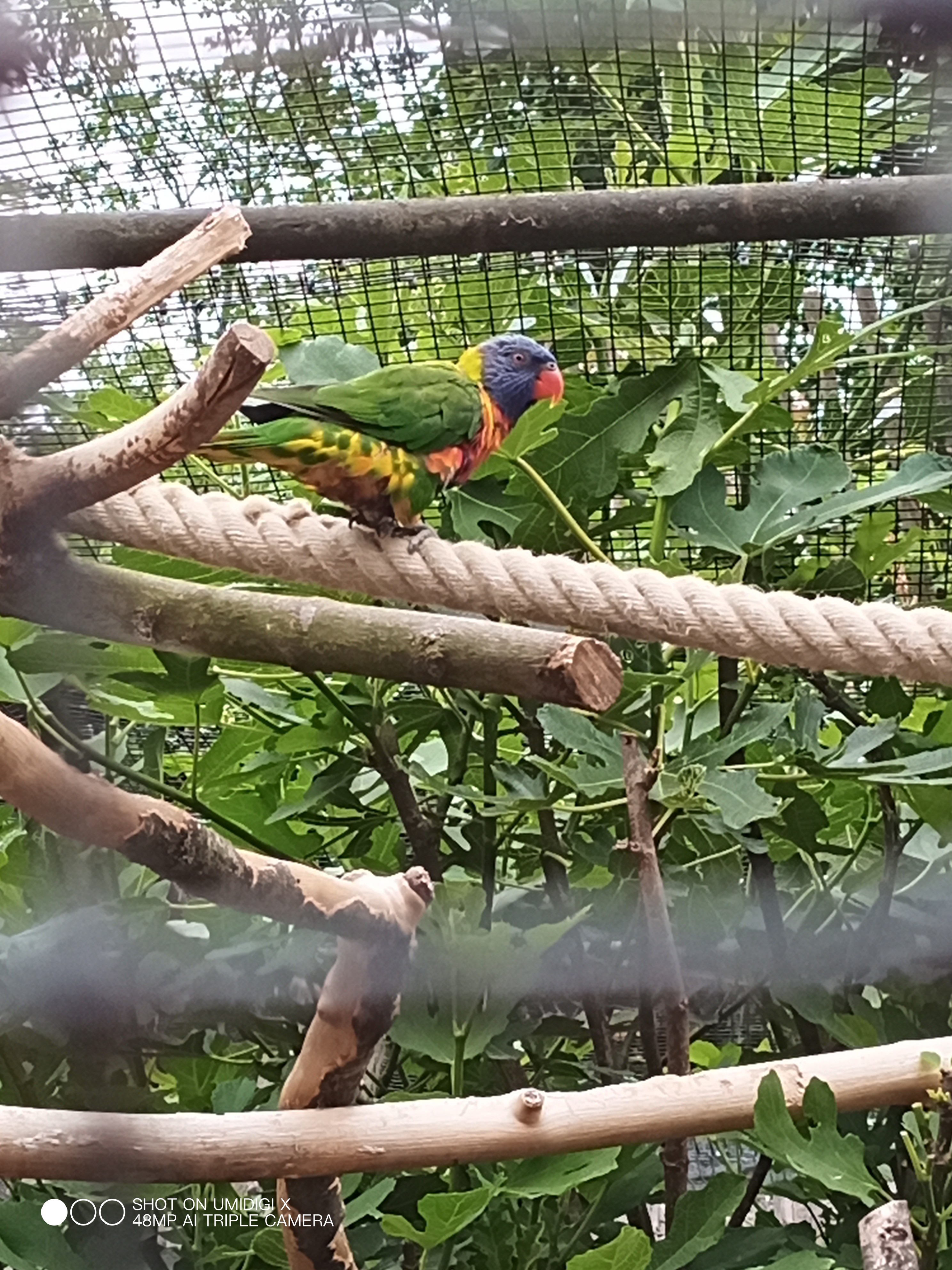 Photo n° 3 de l'avis de Eduardo.r fait le 19/06/2021 à 21:30