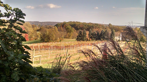 Winery «Fiore Winery», reviews and photos, 3026 Whiteford Rd, Pylesville, MD 21132, USA