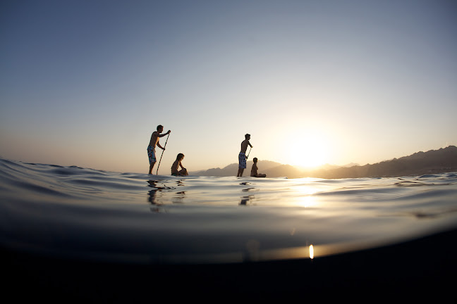 Anmeldelser af SUPsurf i Amager Øst - Sportsbutik