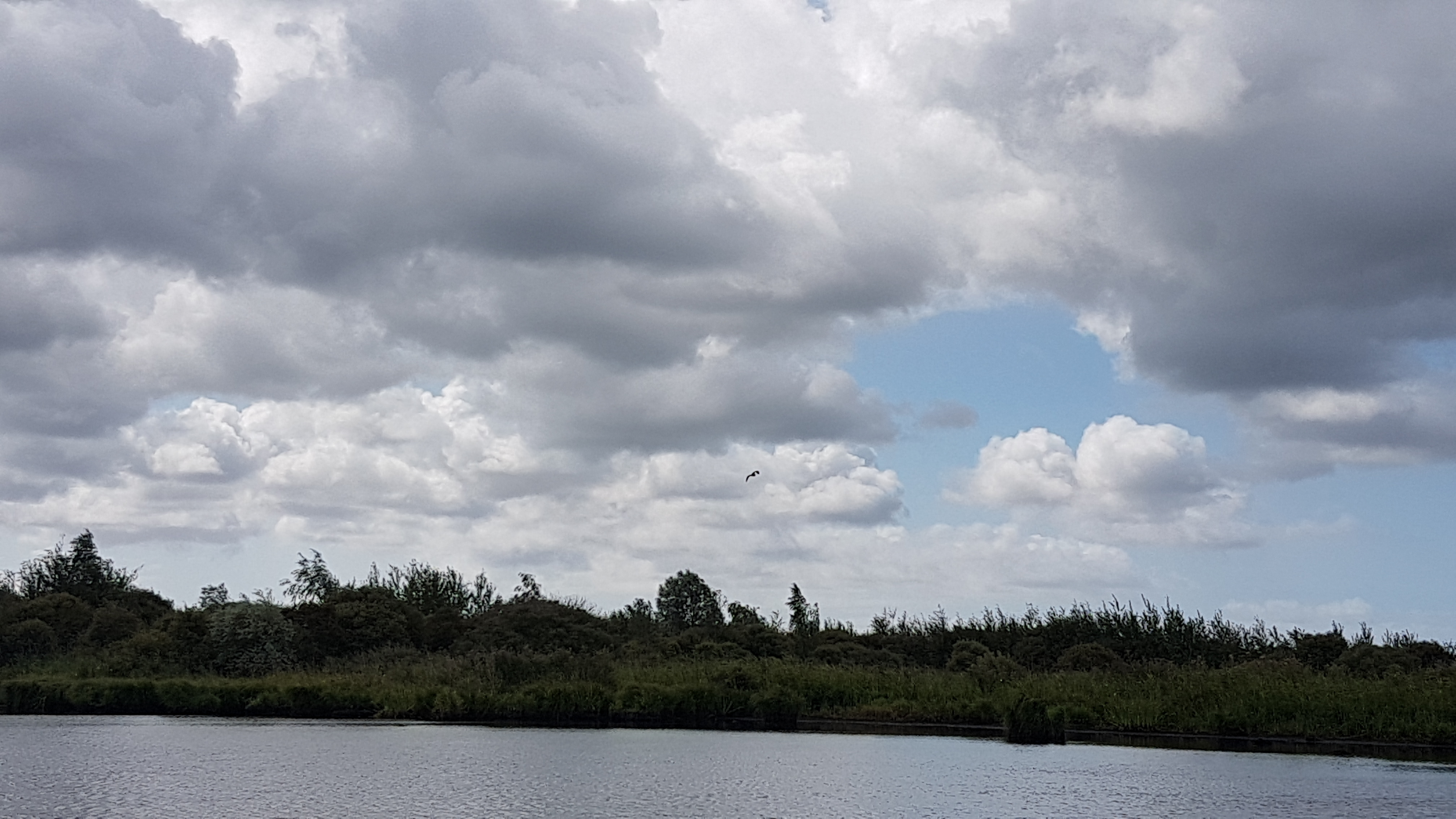Photo n° 1 de l'avis de Elodie.o fait le 31/07/2019 à 16:53