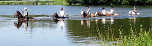 Ferme Équestre De St-Bihy: centre de vacances familial randonnée cheval(Côtes d'Armor, Saint Brieuc) Saint-Bihy