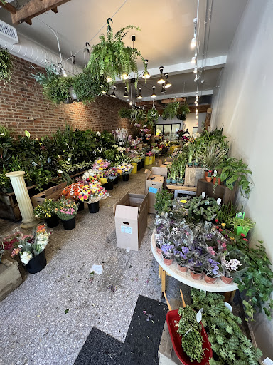 Florist «Brattle Square Florist», reviews and photos, 31 Brattle St, Cambridge, MA 02138, USA