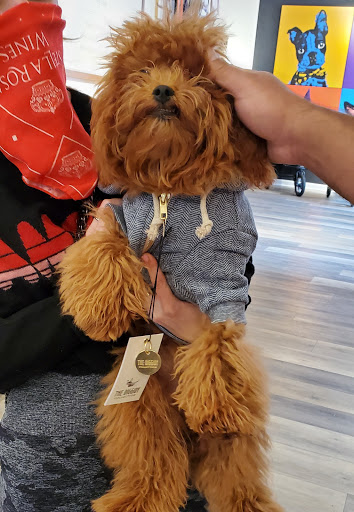 Pet Supply Store «Diggidy Dog», reviews and photos, Ocean Ave & Monte Verde St, Carmel-By-The-Sea, CA 93923, USA