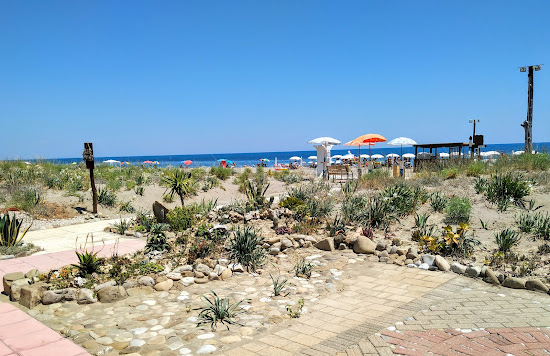 Lido Torre Beach