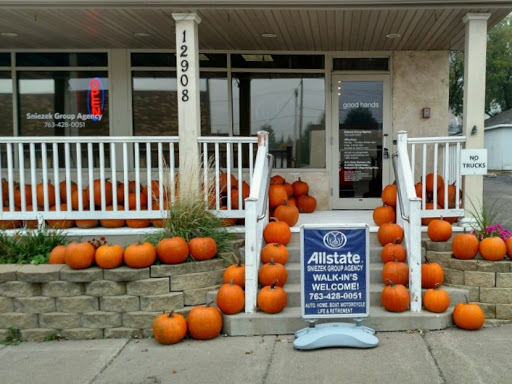 Insurance Agency «Allstate Insurance Agent: Sniezek Group Agency», reviews and photos