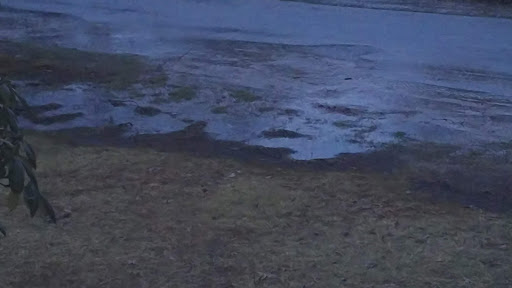 Dry Cleaner «Delken Professional Dry Cleaners», reviews and photos, 3 Peoples Way, Fairhaven, MA 02719, USA