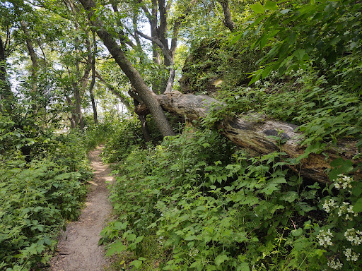 Ice Age Trail – Montrose Segment