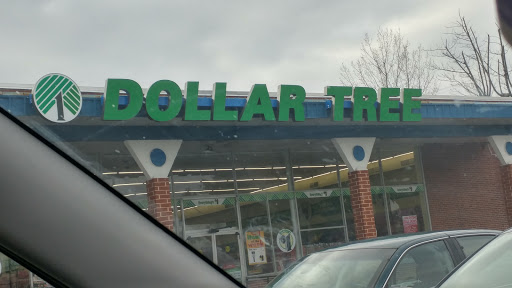 Dollar Store «Dollar Tree», reviews and photos, 111 S Black Horse Pike, Williamstown, NJ 08094, USA