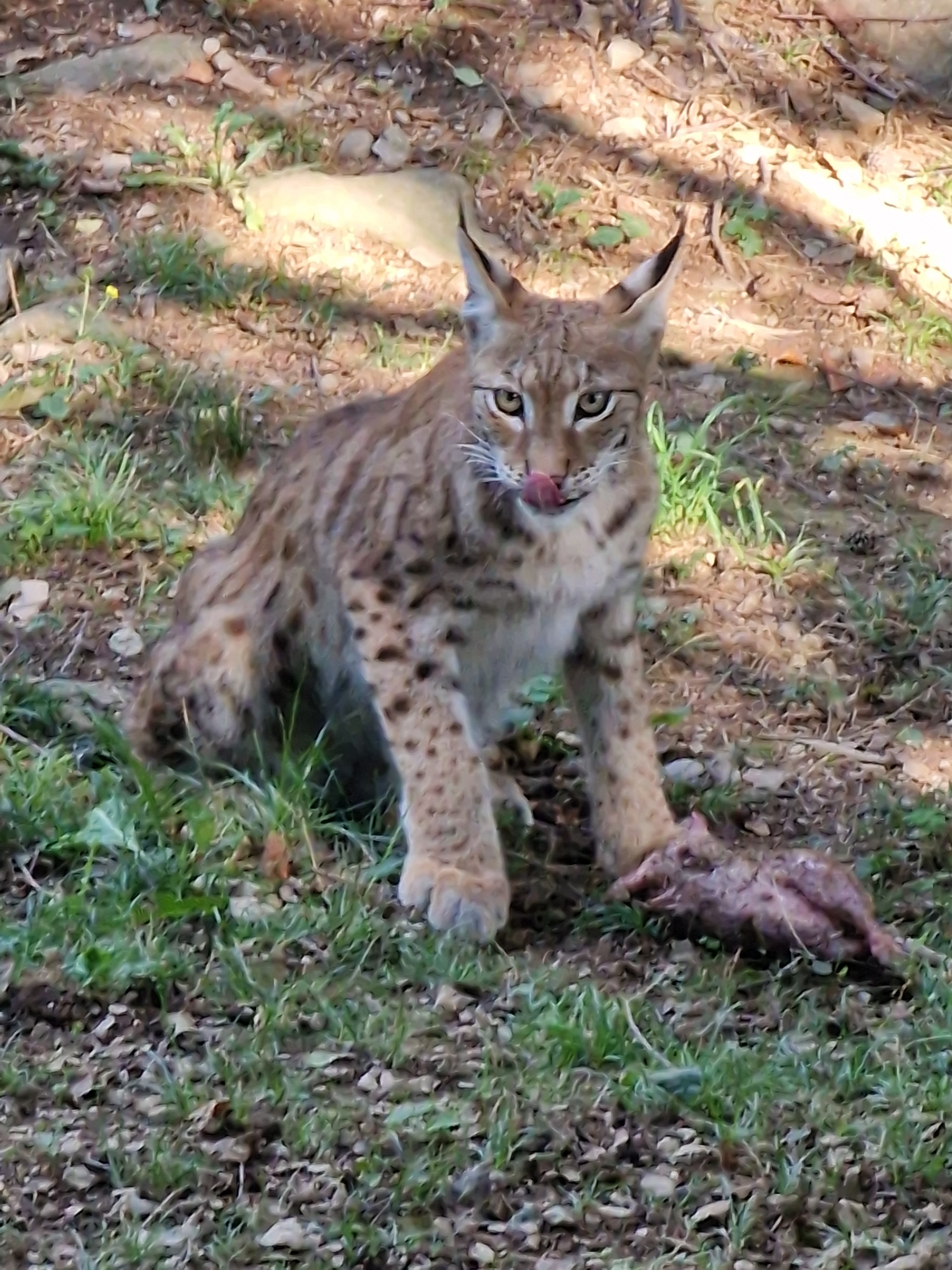 Photo n° 6 de l'avis de Andre.e fait le 09/08/2022 à 17:59