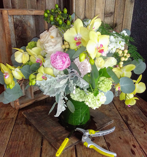 Florist «Bloem Decor», reviews and photos, 1016 10th St, Sacramento, CA 95814, USA