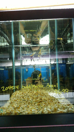 Pet Store «M V Pets», reviews and photos, 7429 S Westnedge Ave, Portage, MI 49002, USA