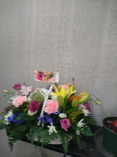 Florist «Always In Bloom Florist», reviews and photos, 872 17th St, Vero Beach, FL 32960, USA