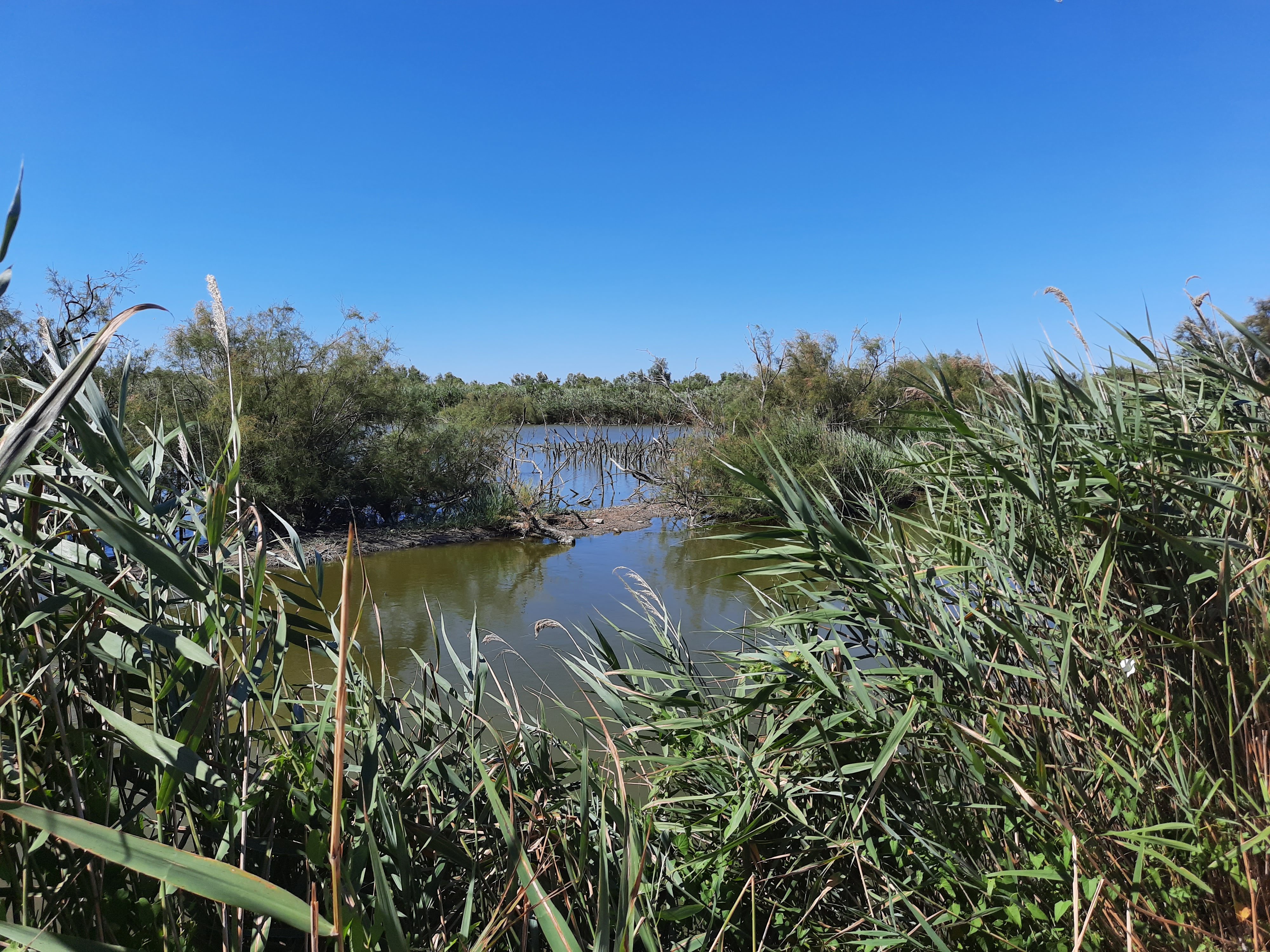 Photo n° 2 de l'avis de Valérie.e fait le 21/07/2020 à 13:47