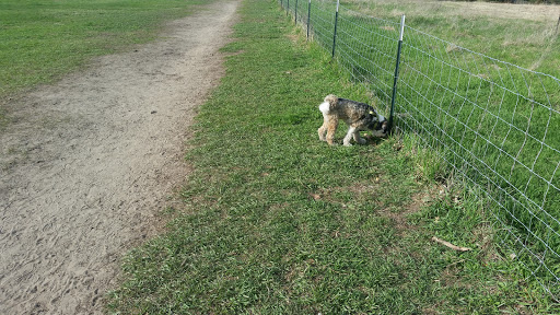 Dog Park «Bunker Hills Dog Park», reviews and photos, 1620 133rd Ave NW, Coon Rapids, MN 55448, USA