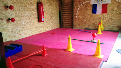 Dojang « La Source » TaeKwonDo et Self Défense Féminine à Saint-Denis-de-Pile