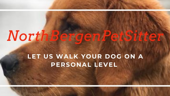North Bergen Pet Sitter LLC