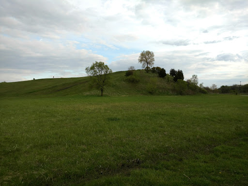 Park «Dr. Martin Luther King Jr. Park», reviews and photos, 42 N Farnsworth Ave, Aurora, IL 60505, USA