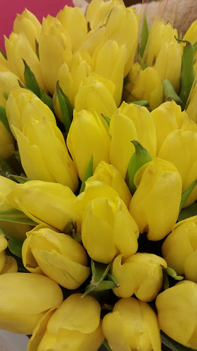 Department Store «Target», reviews and photos, 3885 E Main St, St Charles, IL 60174, USA