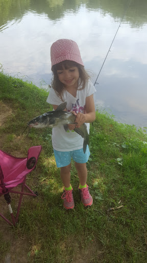 Fishing Store «Indian Creek Fishing & Fire Arms», reviews and photos, 3479 Mango Dr, Danielsville, PA 18038, USA