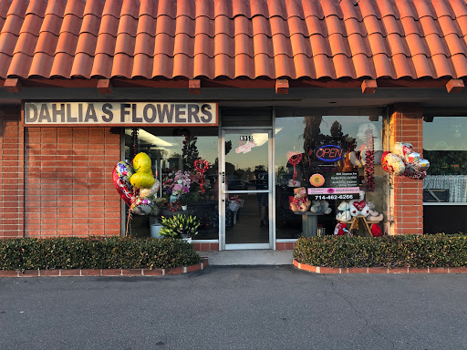 Dahlias Flowers