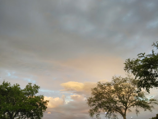 Department Store «Walmart Supercenter», reviews and photos, 1208 E Brandon Blvd, Brandon, FL 33511, USA