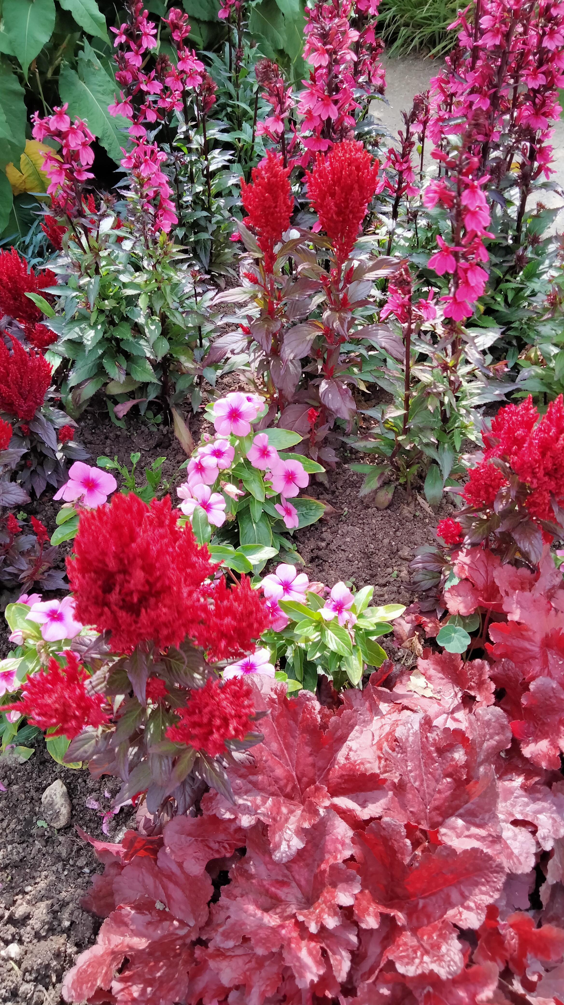 Photo n° 10 de l'avis de Sylvie.o fait le 21/07/2023 à 18:45