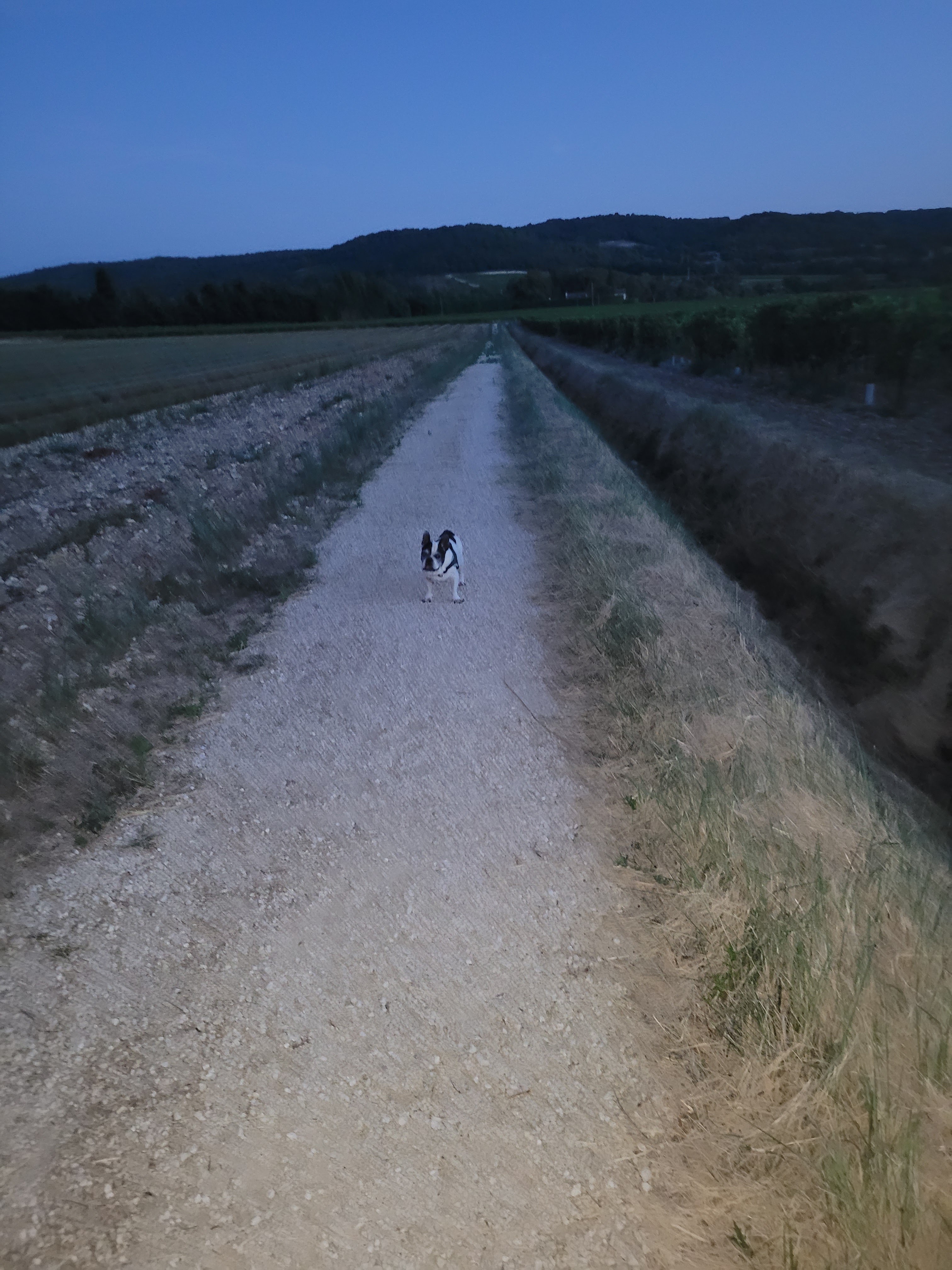 Photo n° 1 de l'avis de Marc.a fait le 12/08/2023 à 18:55