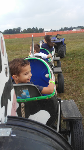 Tourist Attraction «Shipshewana Corn Maze», reviews and photos, 505 Morton St, Shipshewana, IN 46565, USA