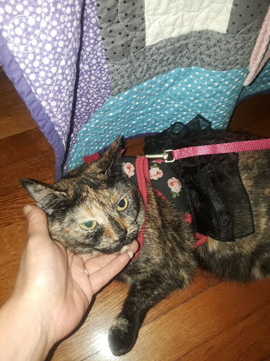 Pet Supply Store «Petco Animal Supplies», reviews and photos, 7400 Rivers Ave z, North Charleston, SC 29406, USA