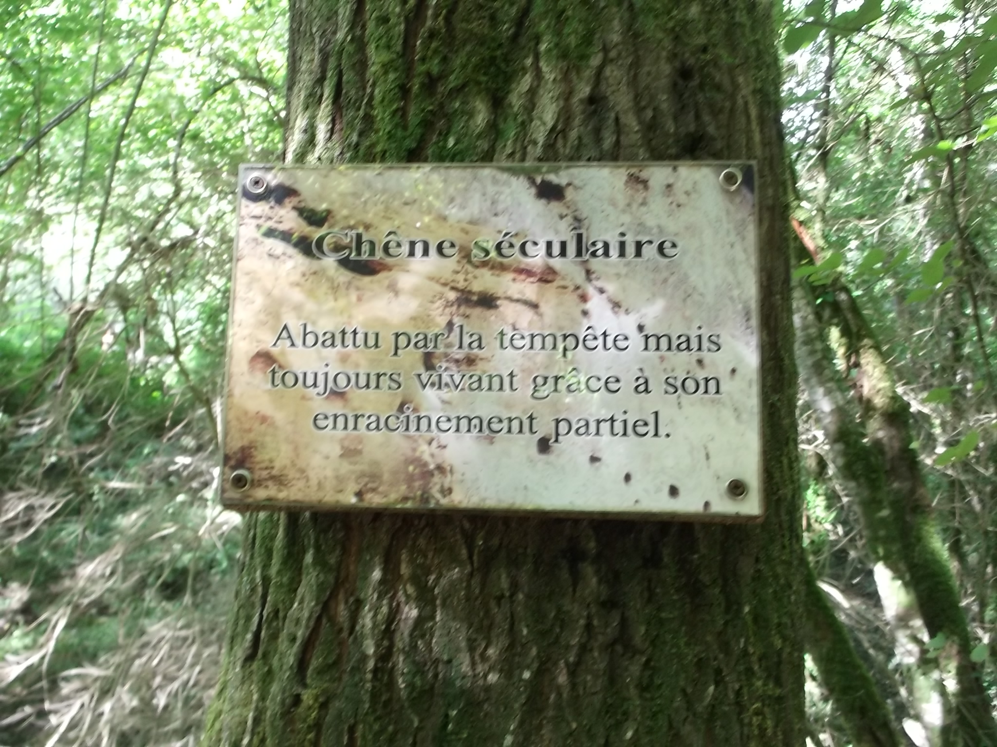 Photo n° 13 de l'avis de Bertrand.a fait le 10/09/2019 à 20:40