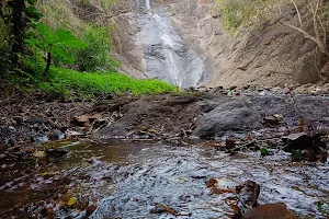 Aruvikuzhy Waterfalls Thadiyoor image