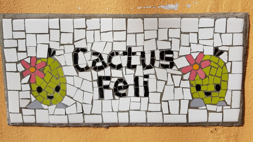 Cactus Feli