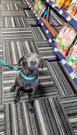 Pet Store «Paws Natural Pet Emporium», reviews and photos, 8551 W Gage Blvd, Kennewick, WA 99336, USA