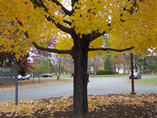 National Park «Home of Franklin D. Roosevelt National Historic Site», reviews and photos, 4097 Albany Post Rd, Hyde Park, NY 12538, USA