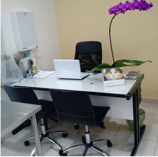 Logo da empresa - Vitalpets