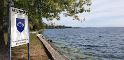 Plage du Coulet photo #6
