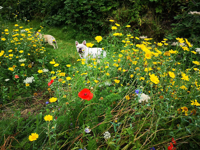 Cheam Way Park - Southampton