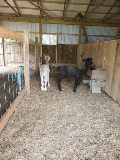 Water Park «Pine Lake Waterpark», reviews and photos, 4640 W State Road 218, Berne, IN 46711, USA