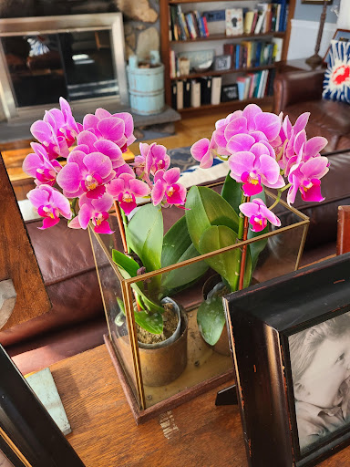 Florist «Exotic Flowers», reviews and photos, 609 American Legion Hwy, Boston, MA 02131, USA