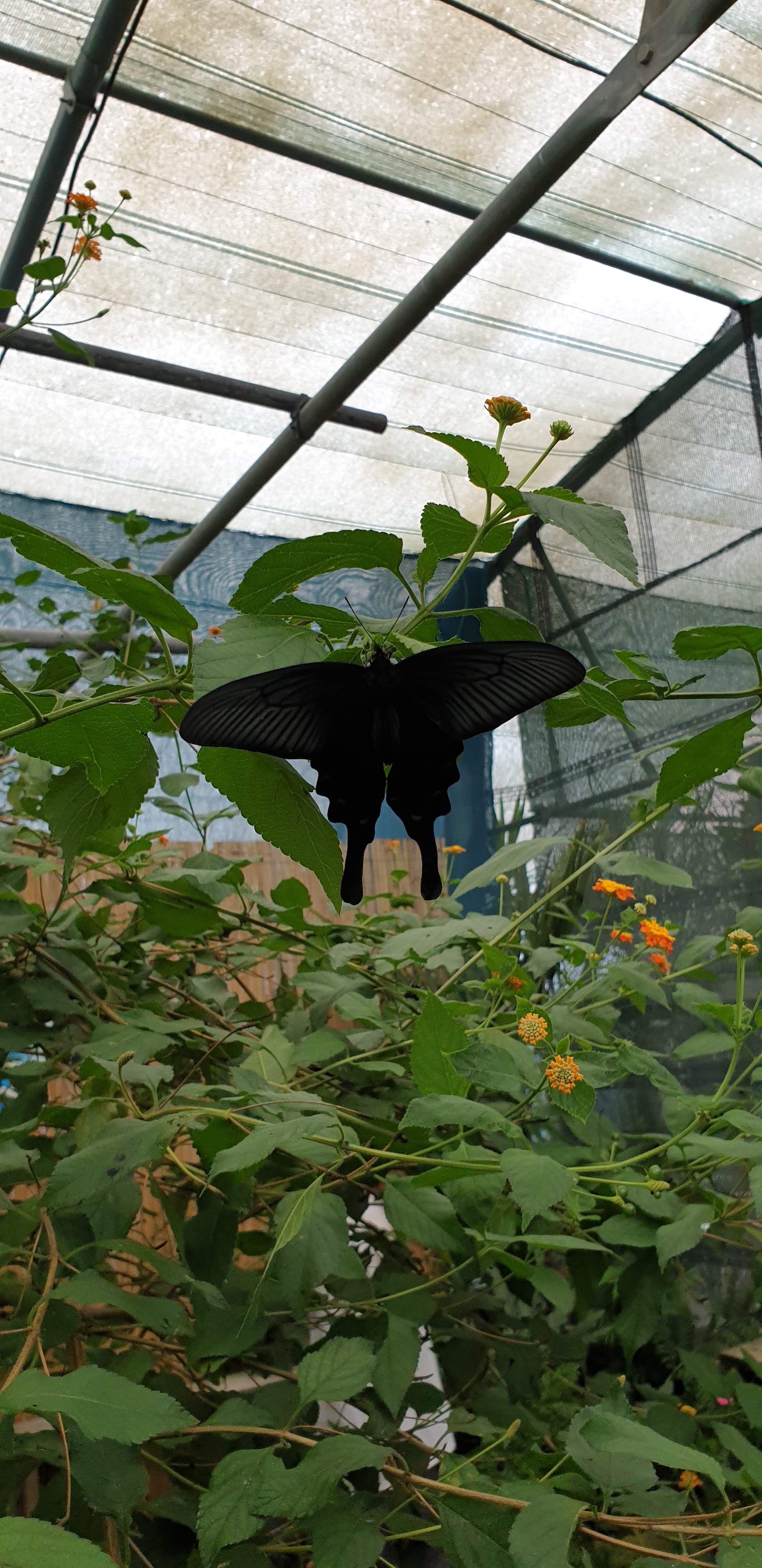 Photo n° 2 de l'avis de Severine.o fait le 30/07/2019 à 11:31