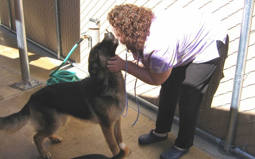 Dog day care center San Jose