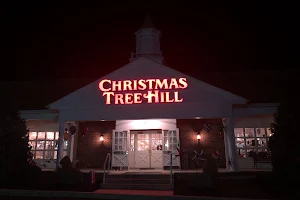 Christmas Tree Hill at Camp Hill image