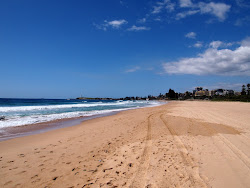 Photo de Fairy Meadow Beach - endroit populaire parmi les connaisseurs de la détente