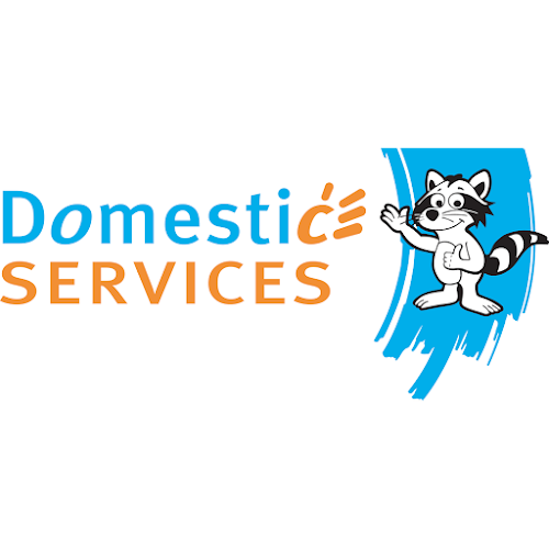 Domestic Services - Schoonmaakbedrijf