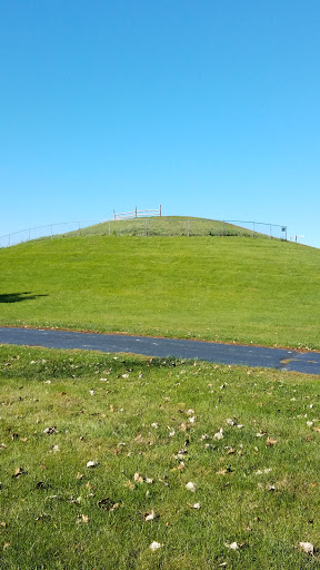 Park «Dellwood Park», reviews and photos, IL-171 & Woods Dr, Lockport, IL 60441, USA