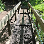 Photo n°4 de l'avis de Britta.r fait le 12/05/2024 à 09:00 sur le  Barfußpark Lüneburger Heide in Egestorf à Egestorf