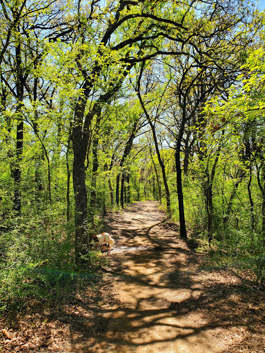 Off roading area Denton