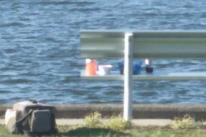 New Bower Boat Launch image