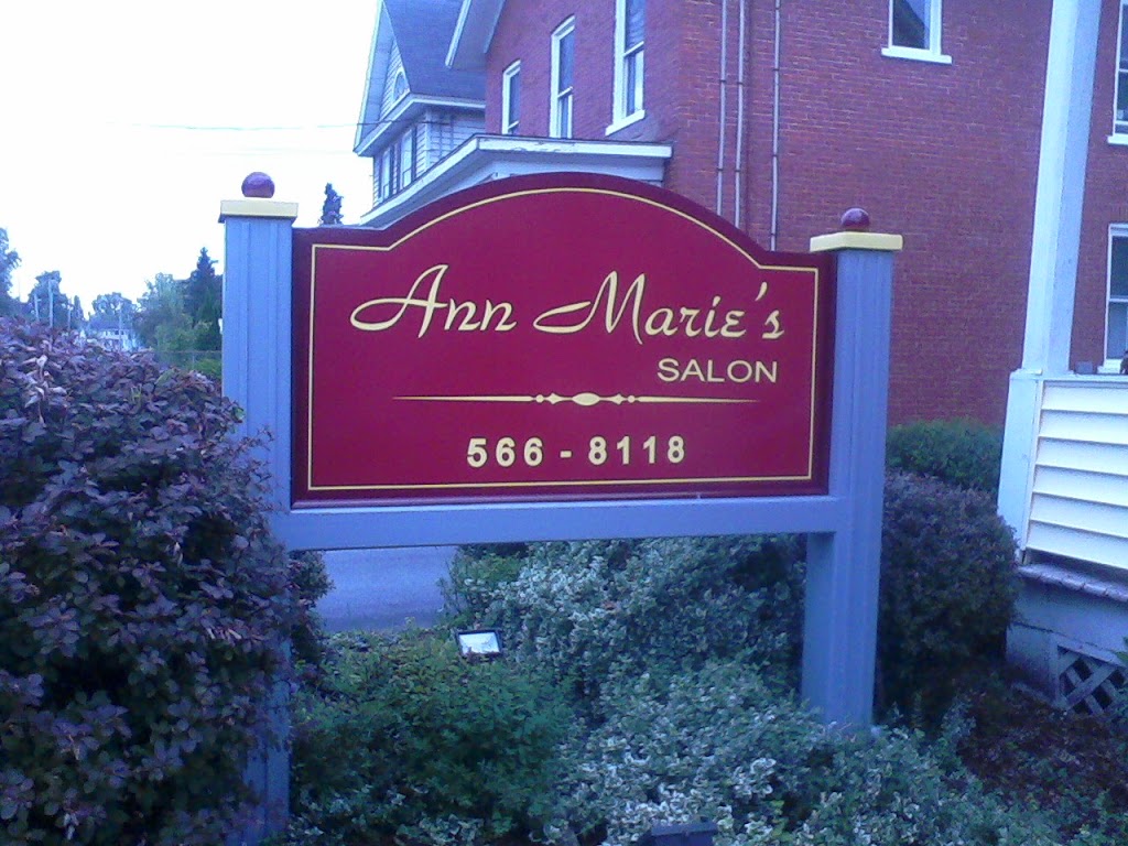 Ann Marie's Salon 12901