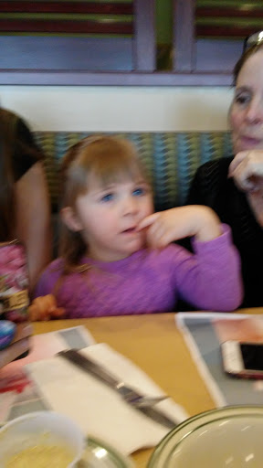 American Restaurant «Newport Creamery», reviews and photos, 1256 Warwick Ave, Warwick, RI 02888, USA